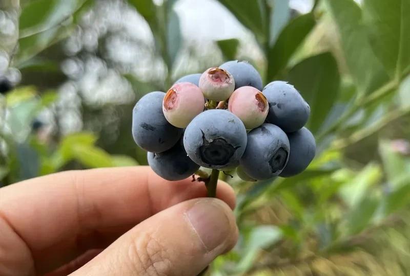 突然发现原来经常互动的朋友停更了，
不知道是不是也像很多人一样，
坚持了很长时却