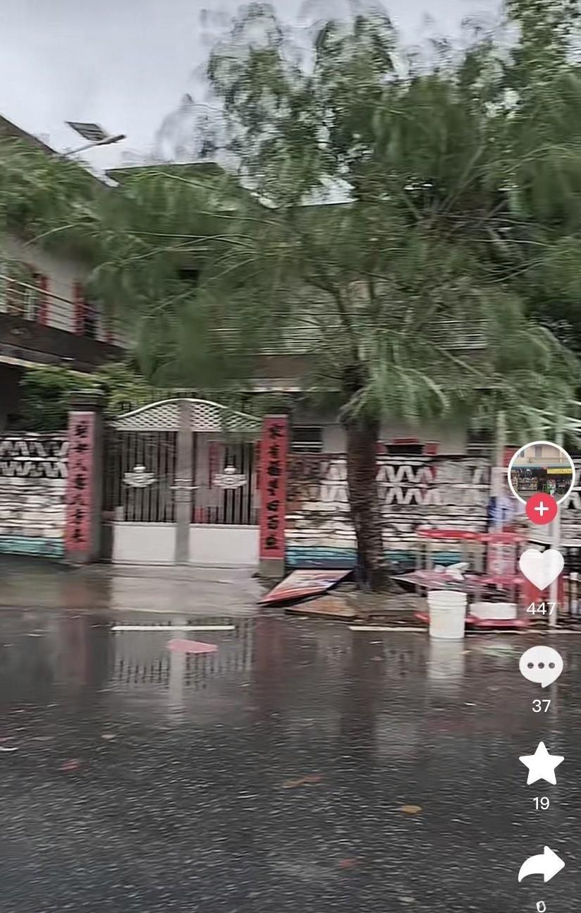 台风过境，全红婵家门口一片狼藉，帐篷全部吹翻！
那么大的一棵凤凰树，他们家都不肯