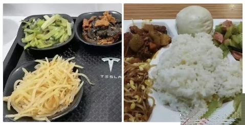 左边是特斯拉的食堂 右边是比亚迪的食堂 ，哪个更有食欲？