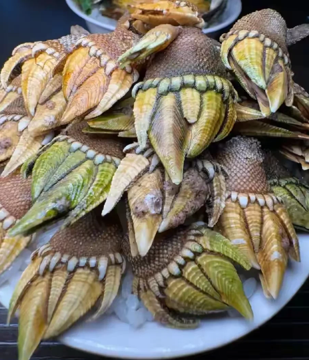 海南的这个特色美食叫啥名？这东西到底该咋吃？评论区快唠唠哇！