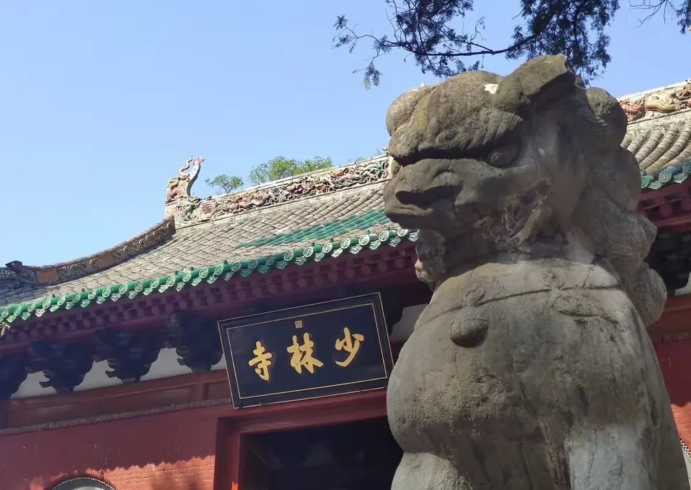 少林寺得罪了谁？
4.52亿房地产，18家公司……更有许多尚待考证的传言。
历史