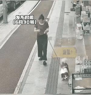任由自己的毛孩子祸害别人，
这样的人缺啥？[发怒]