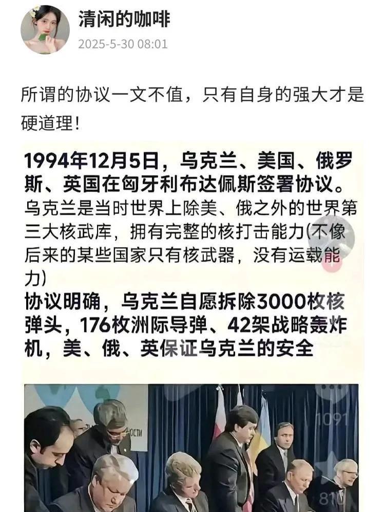乌克兰上大当了！损失惨重。签字国只有乌克兰遵守了协议。