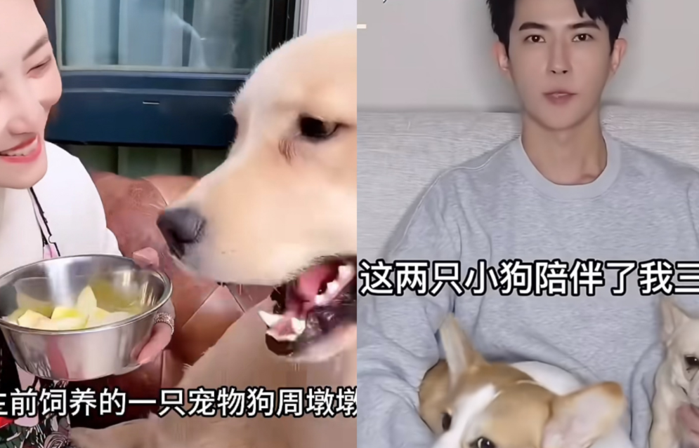 泪崩，
曾经看过一部韩剧，
说猫猫狗狗们都变成人，在天上等着自己的主人，他们最终