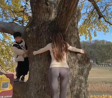 好大一棵树～
