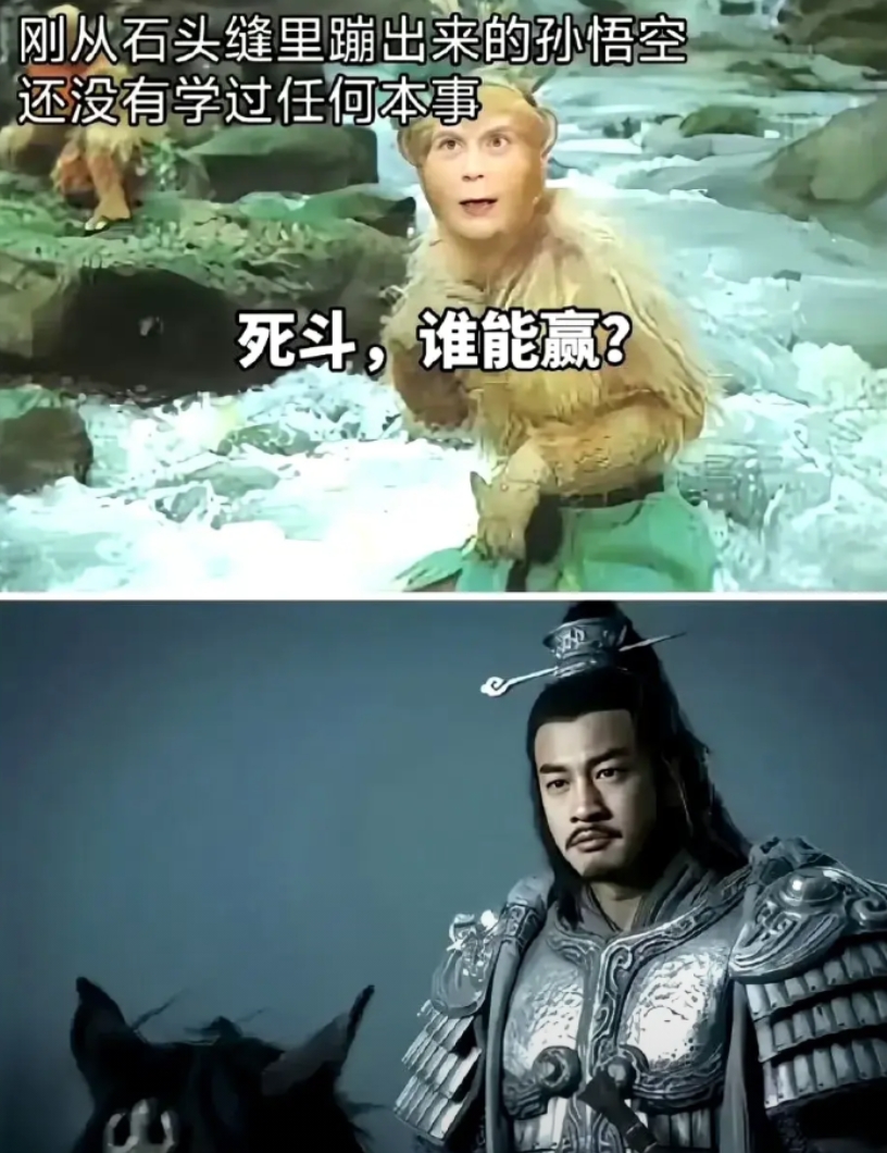 他俩谁厉害？