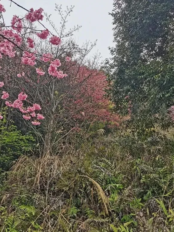 女性必须结婚吗？
我认同女性必须结婚。理由如下：
其一，身为雌性，易被雄性觊觎，