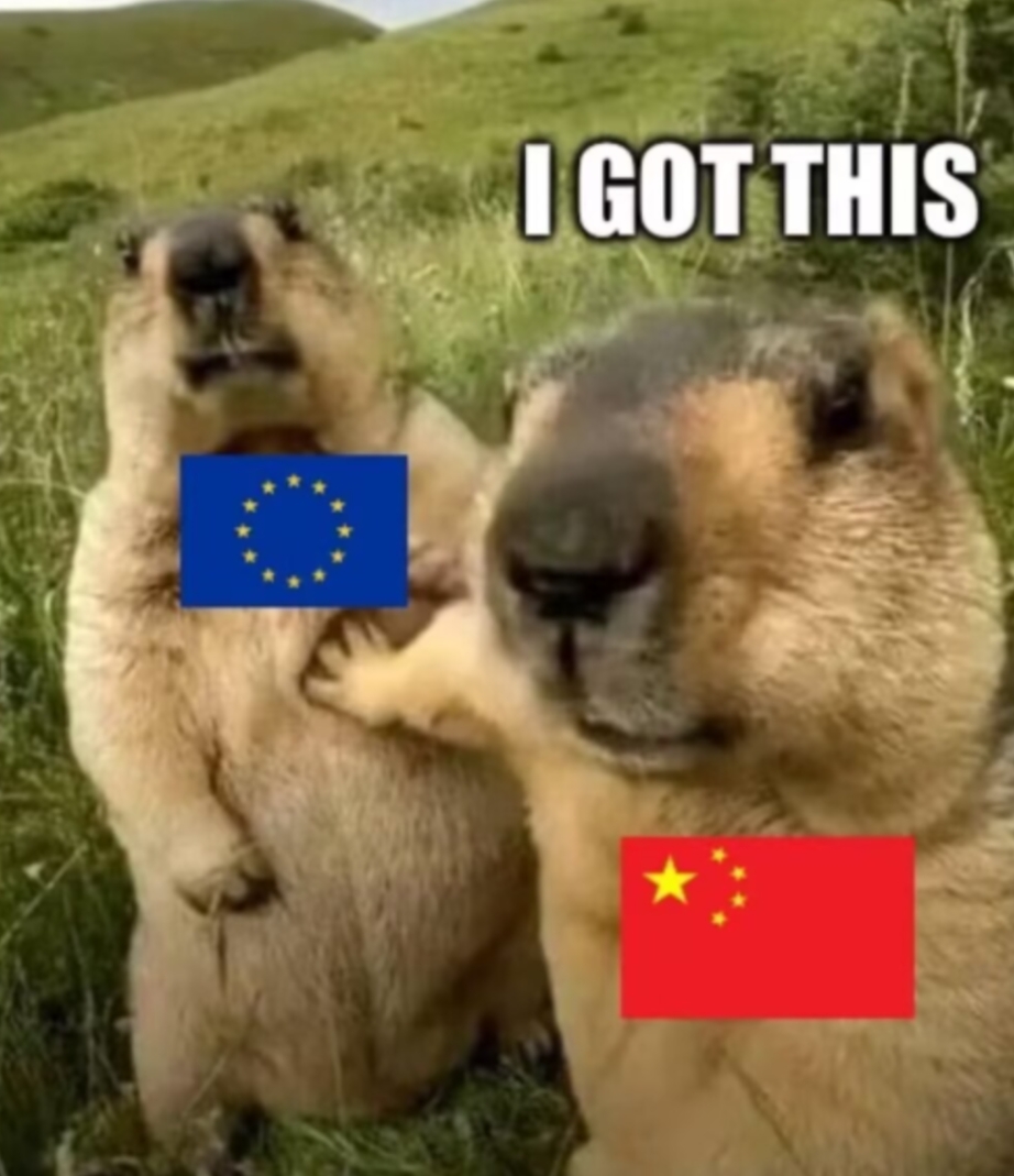 欧洲人，你们不能在只有需要中国的时候，才表现出尊重

这是最近欧洲那边突然爆火的