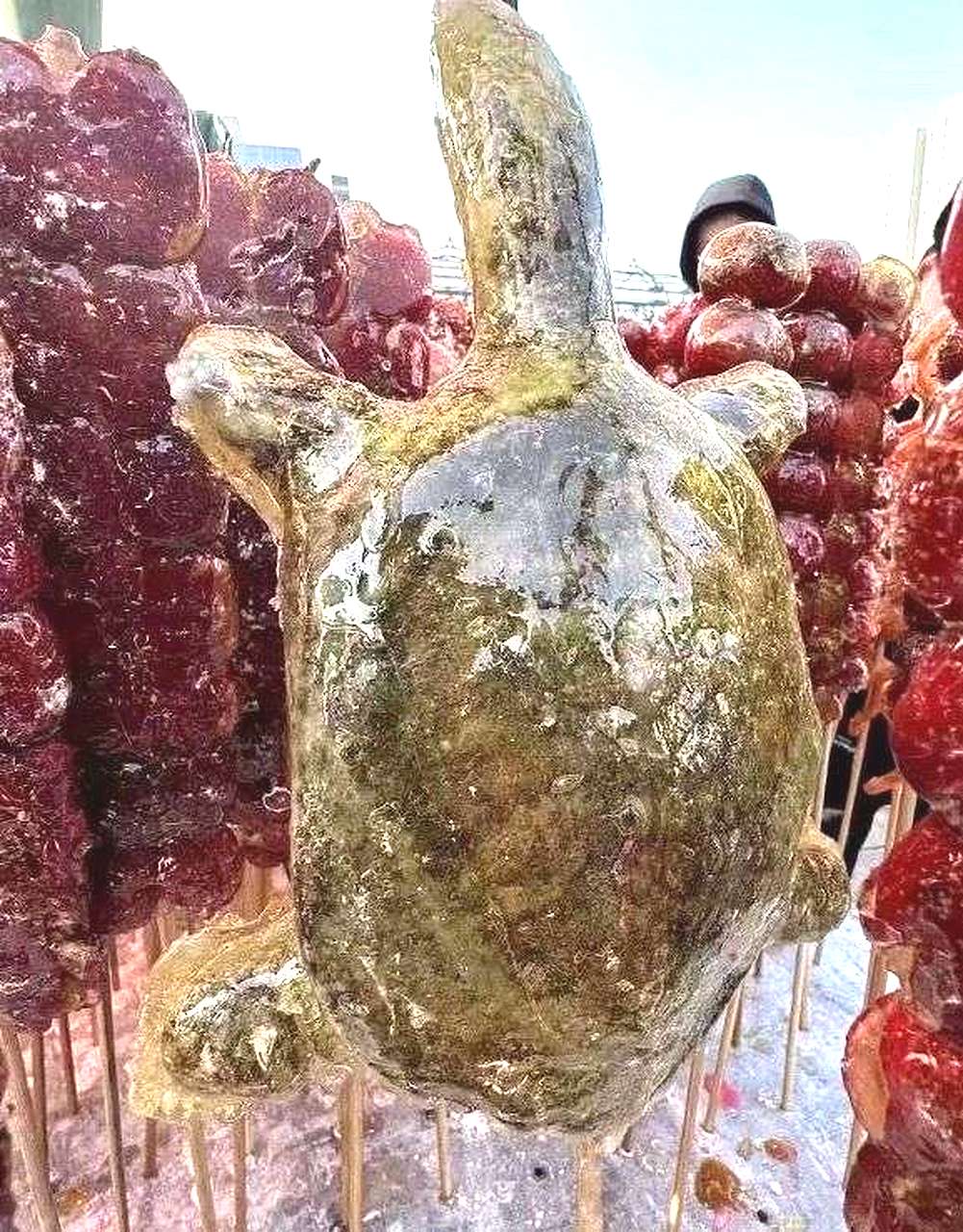 大神们，大家觉得取个什么名字好呢