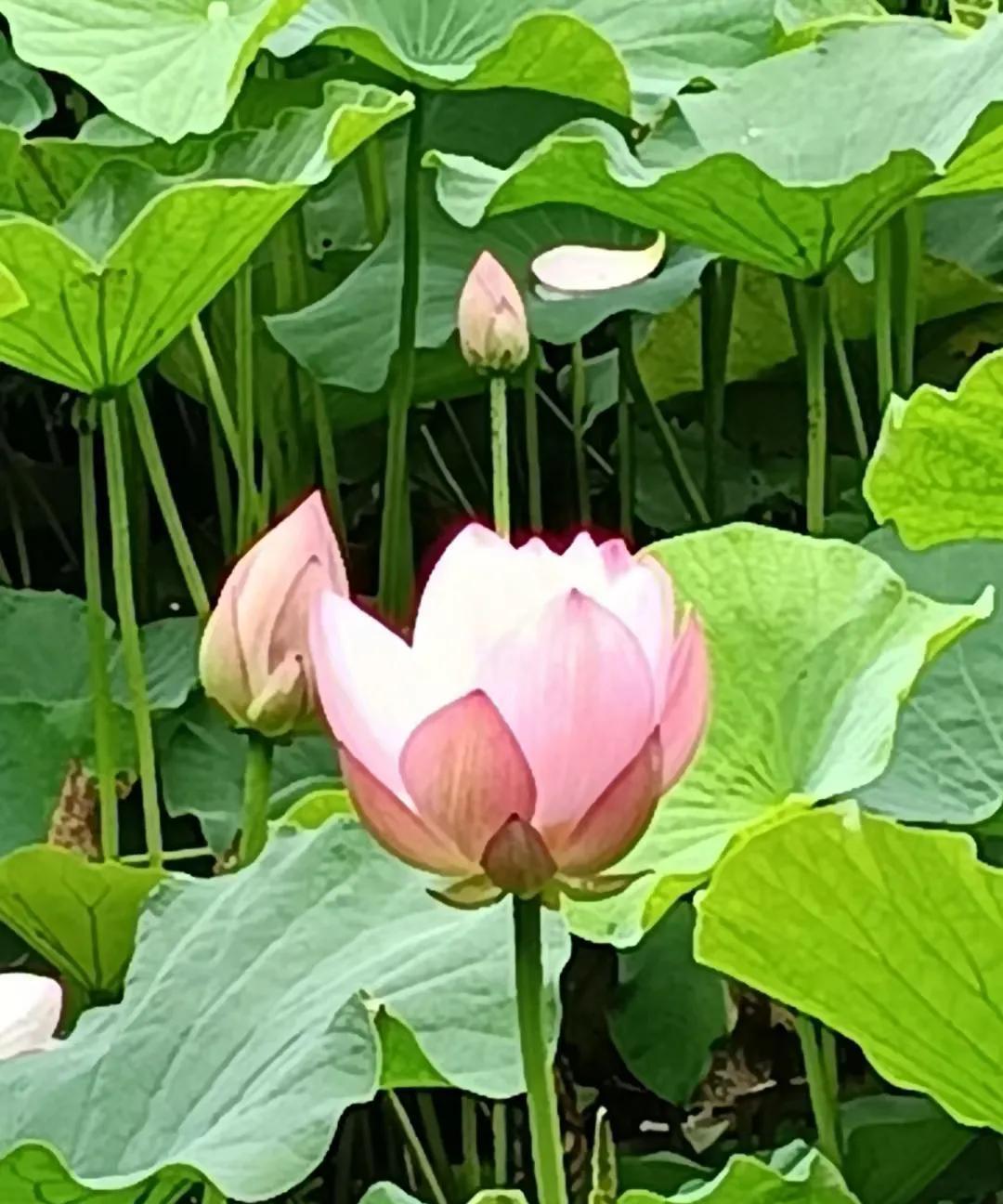发现了吗？如今的九零后特别现实，都不想结婚（女性者偏多），结了婚的也不愿生孩子。