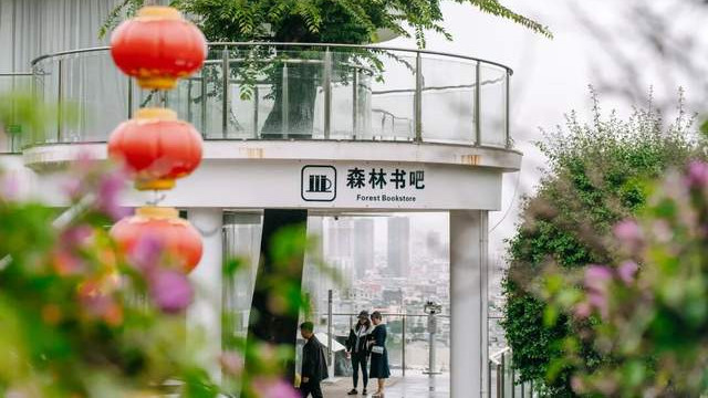 红河弥勒有个雨天好去处，高空森林氛围感超绝，还能解锁隐藏体验