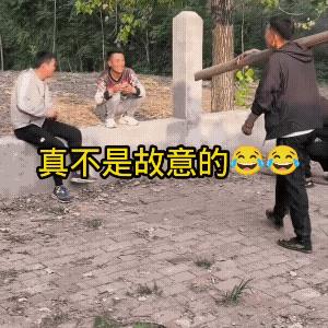 这个视频，让人不厚道的笑了！人才，高手连环招，一木害三贤，三贤一木杀，一人的的确