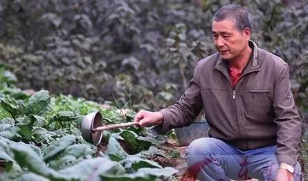《种菜》
高山连绵挨着天，
退休回家种菜园。
自种自吃没药害，
………？
拋砖引