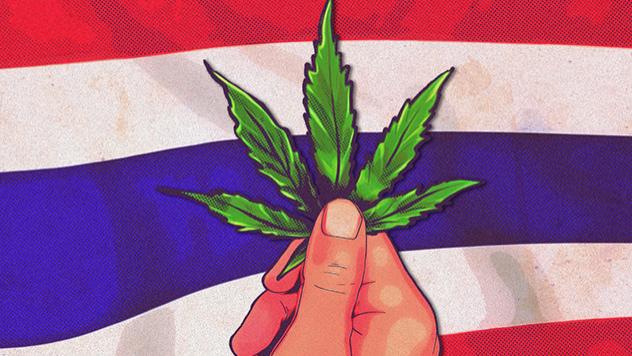 亚洲第一个大麻合法化的国家，现在后悔了