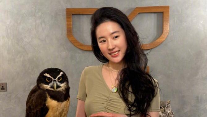 刘亦菲晒阿布扎比九宫格plog，神仙姐姐美极了