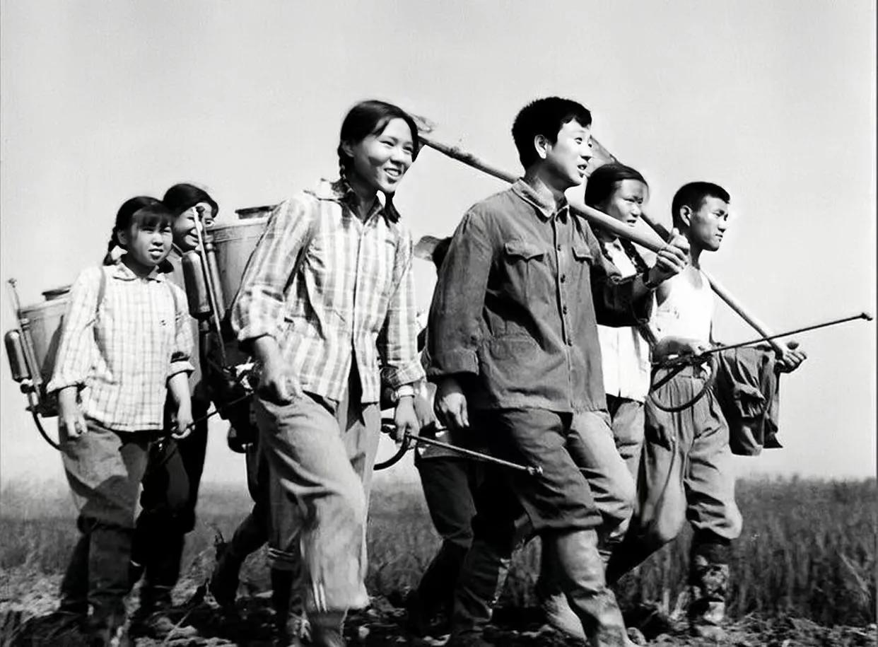 1979年，知青马思德与农村姑娘李英相恋。马母死活不同意，扬手“啪”地一声，当众