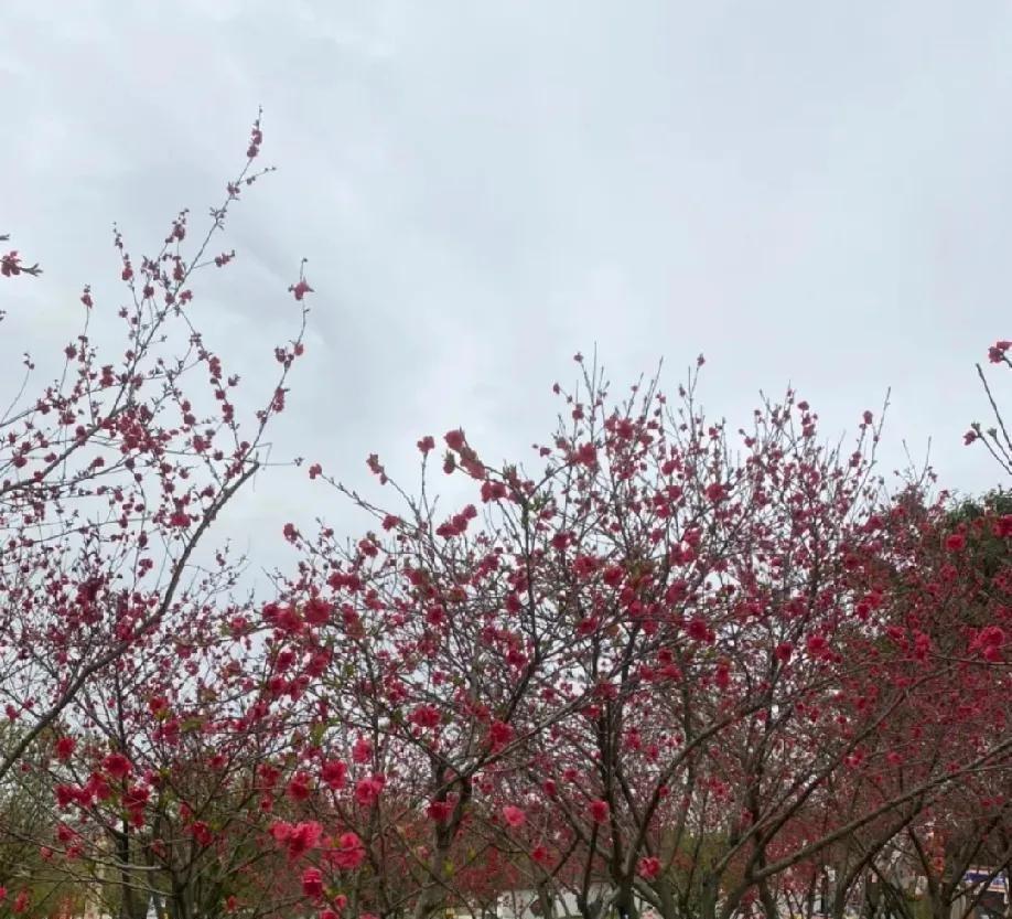 最扎心的领悟：当家里永远少了那个拌嘴的人，才明白那叮叮当当的声响竟是福气。
几十