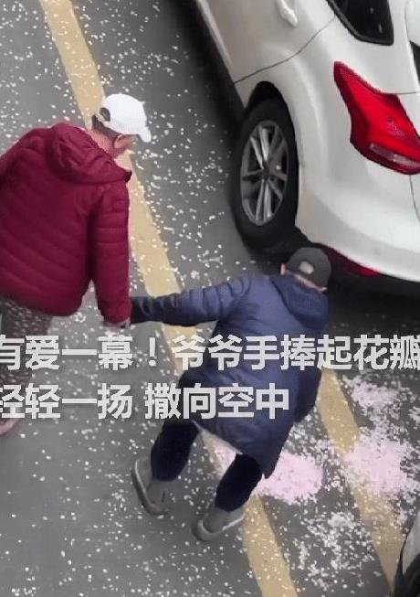 “被大爷的浪漫感动了！”安徽合肥，一对老人手牵手遛弯，突然，爷爷弯下腰，抓了一把