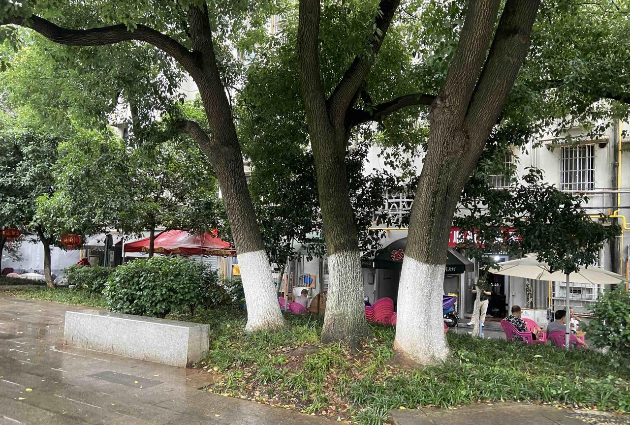15元，今天的营业额，开店铺最讨厌的就是下雨天，长沙今天下大雨！不知道你们那边有