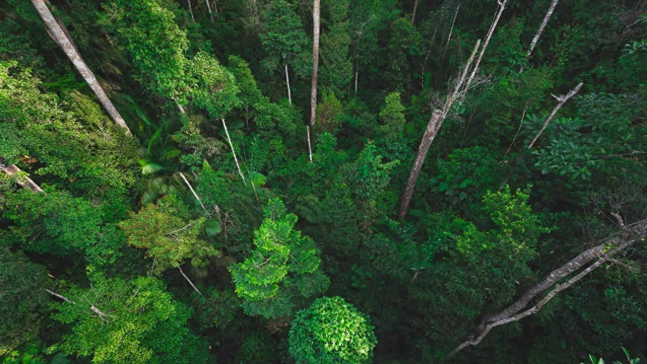 木纤维纸袋FSC认证无塑可回收可降解可堆肥服装电子产品环保包装