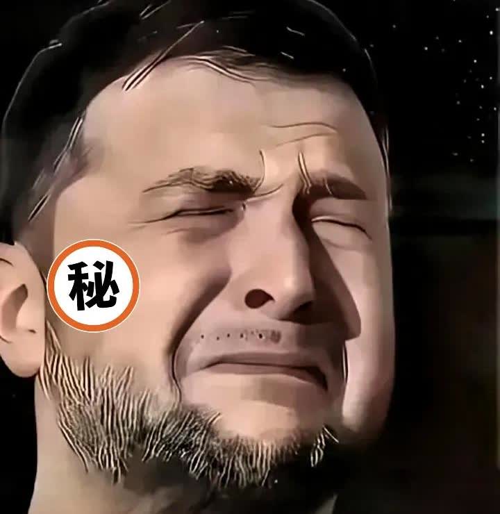 埃尔多安没想到自己刚刚促成俄乌谈判，乌克兰外交部就称停火备忘录是“草稿纸”。
