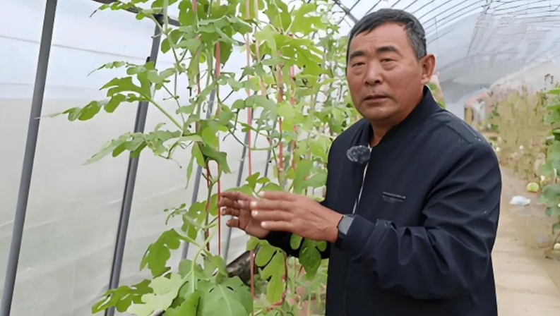 一位没上过大学，连高中都没毕业的黑龙江农民，拒绝300万美元的挖角，攻克了让美国