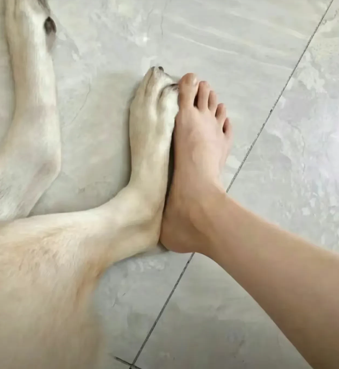 和媳妇一起拍张照片......