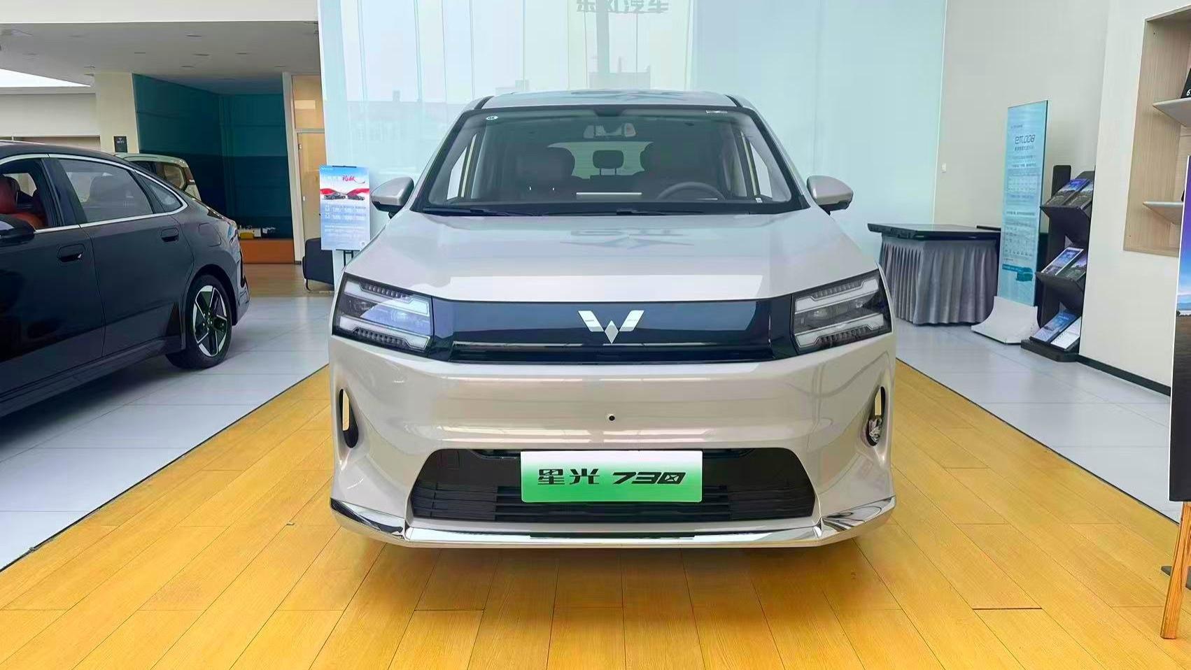 三种动力形式，五菱星光730家用行吗？