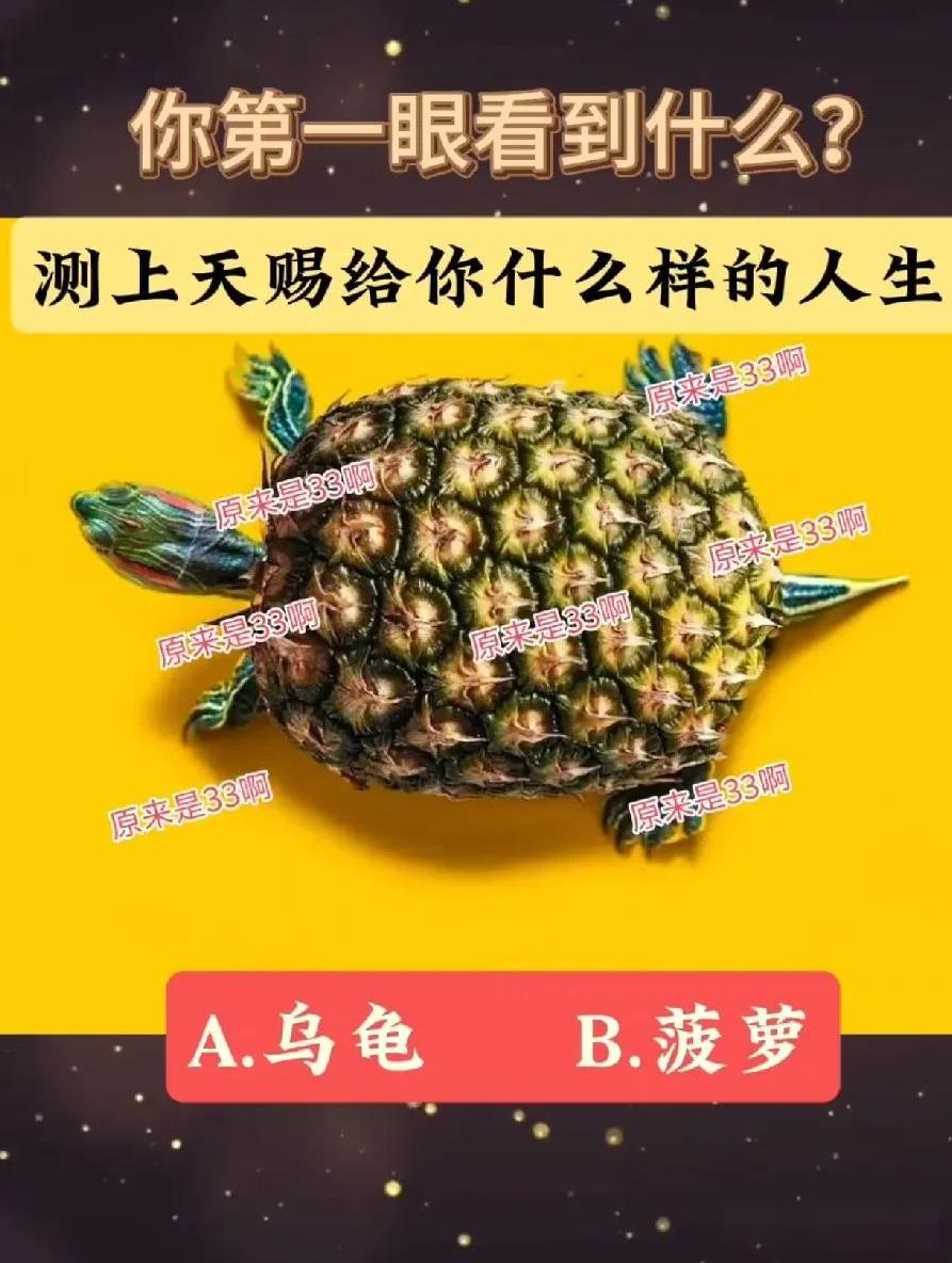 测上天赐给你什么样的人生
A.乌龟
B.菠萝
答案已发评论区，选好再看答案哦！以