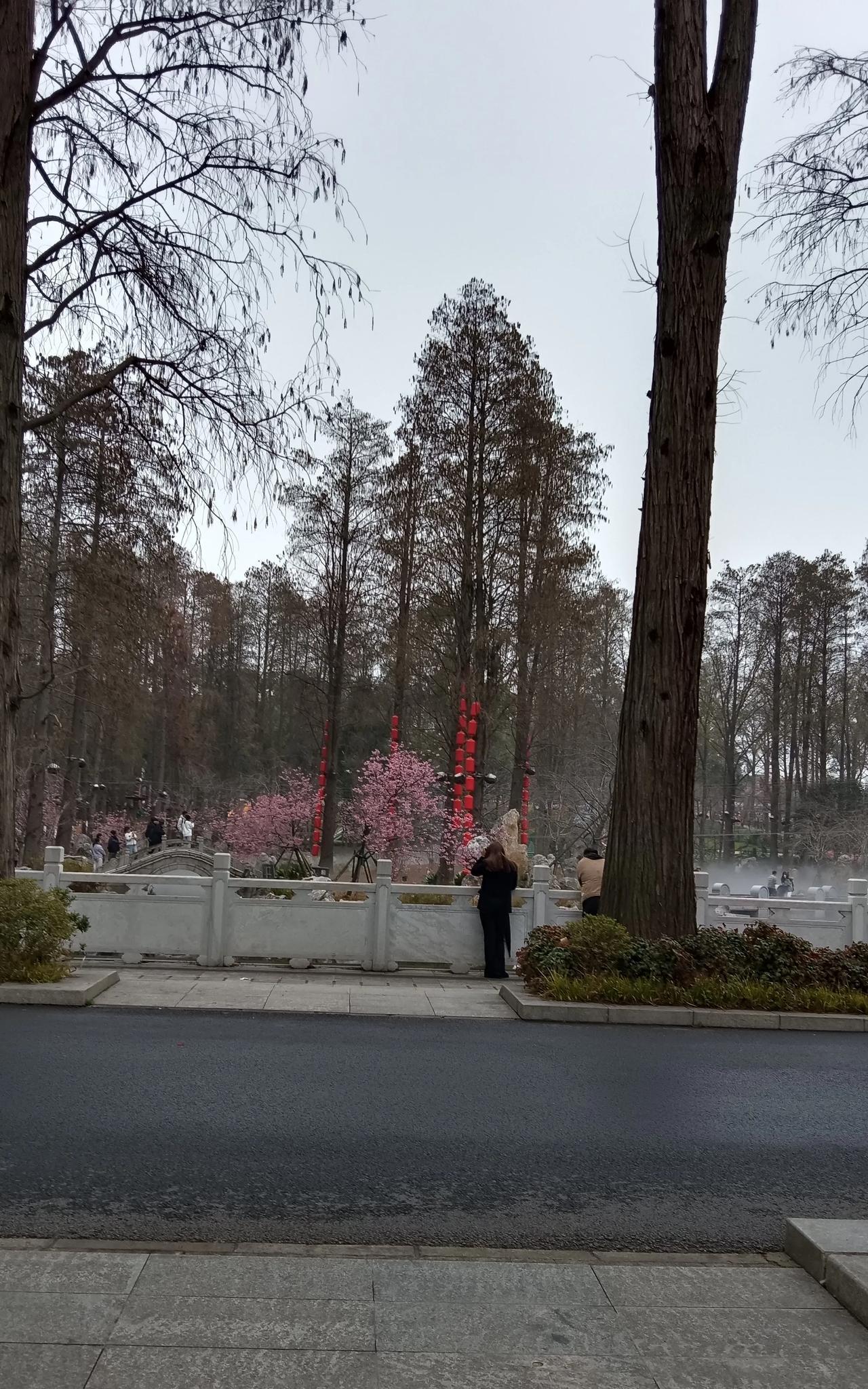 上一篇我写到五六十年代父亲在外地工作，评论区有人说我家在那个年代有当官的，是既得
