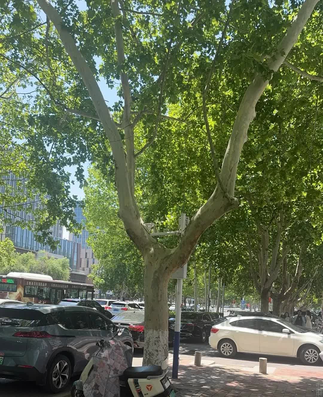 今天乐道要来上门试驾，反正周日也没啥事。就跟着试驾了一下。 乐道这个车起售价 2