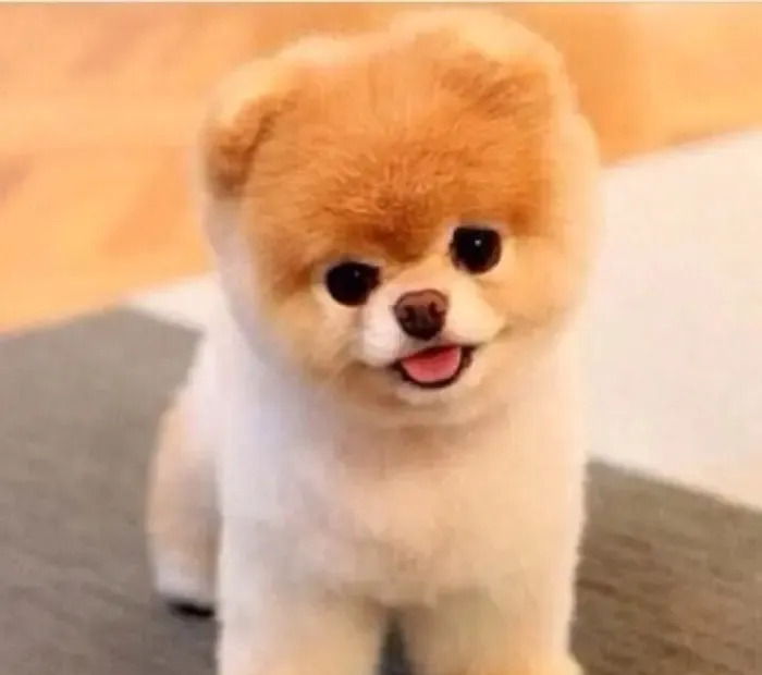 老实说，非洲人在广东的问题











**第一段：**





你