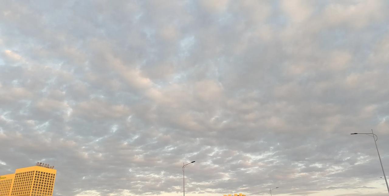 这里可以说实话吗？网上，你我并不认识，更不了解，说句实话，可以吗？
不管你说什么