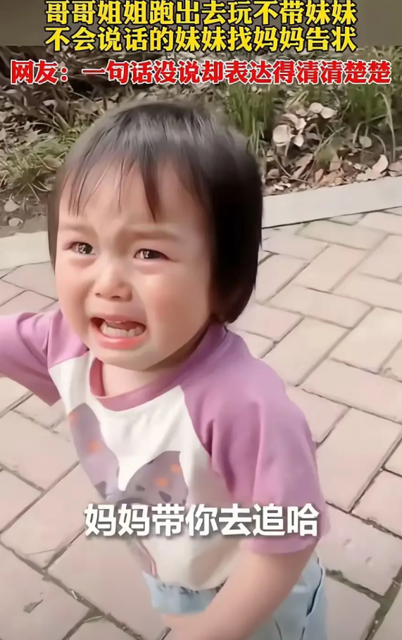 一个不会说话的小娃娃，竟然把状告到中央了，人民日报都亲自下场了。

不会说话的妹