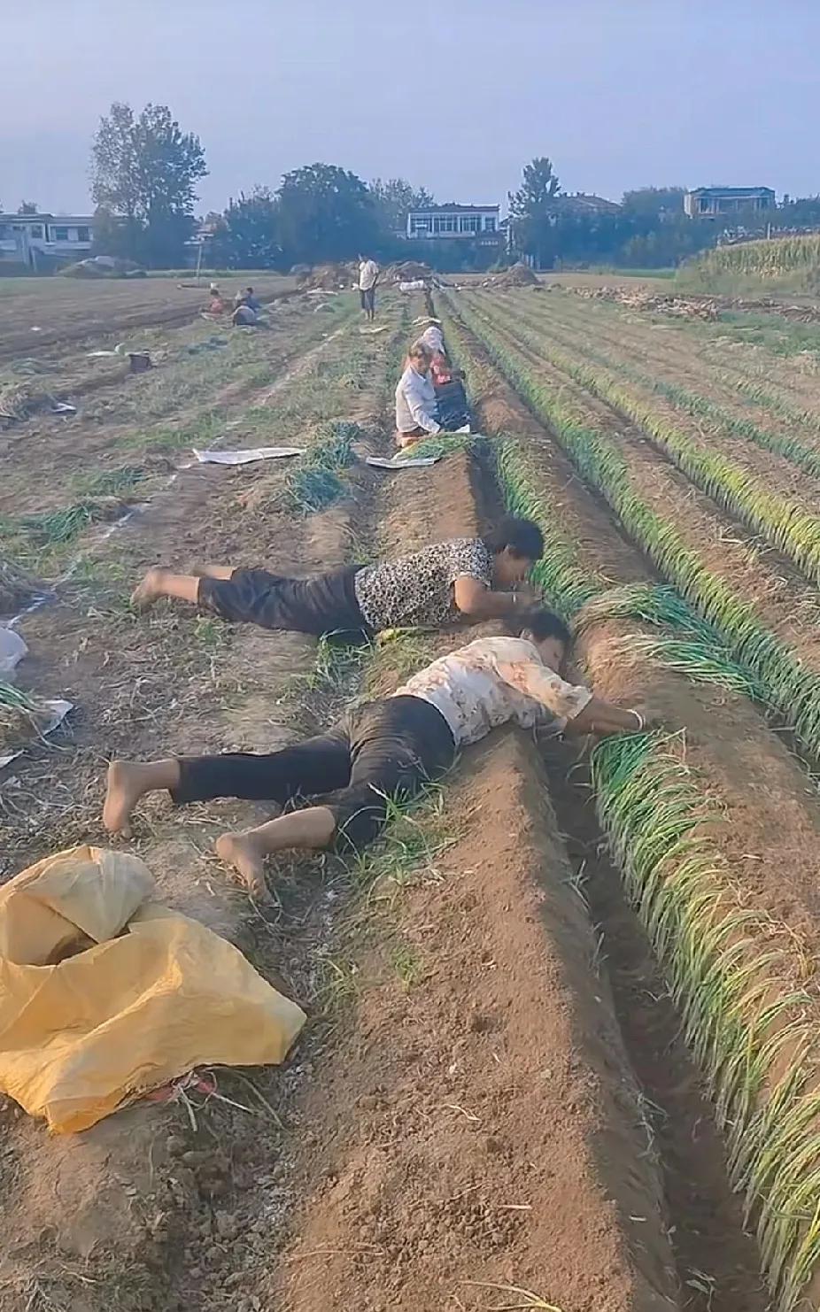 当你体验了
一天挣三千的感觉
你就再也不想打工了
当你没有收入的时候
一个小时8