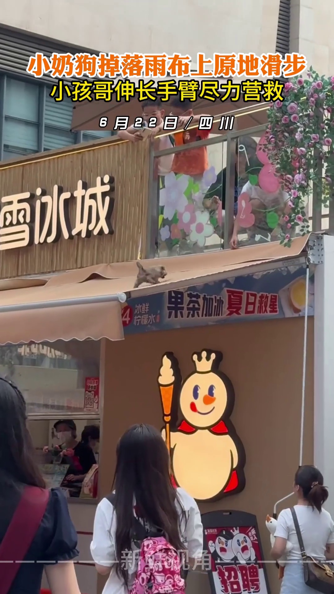 小奶狗掉落雨布上原地滑步 小孩哥伸长手臂尽力营救