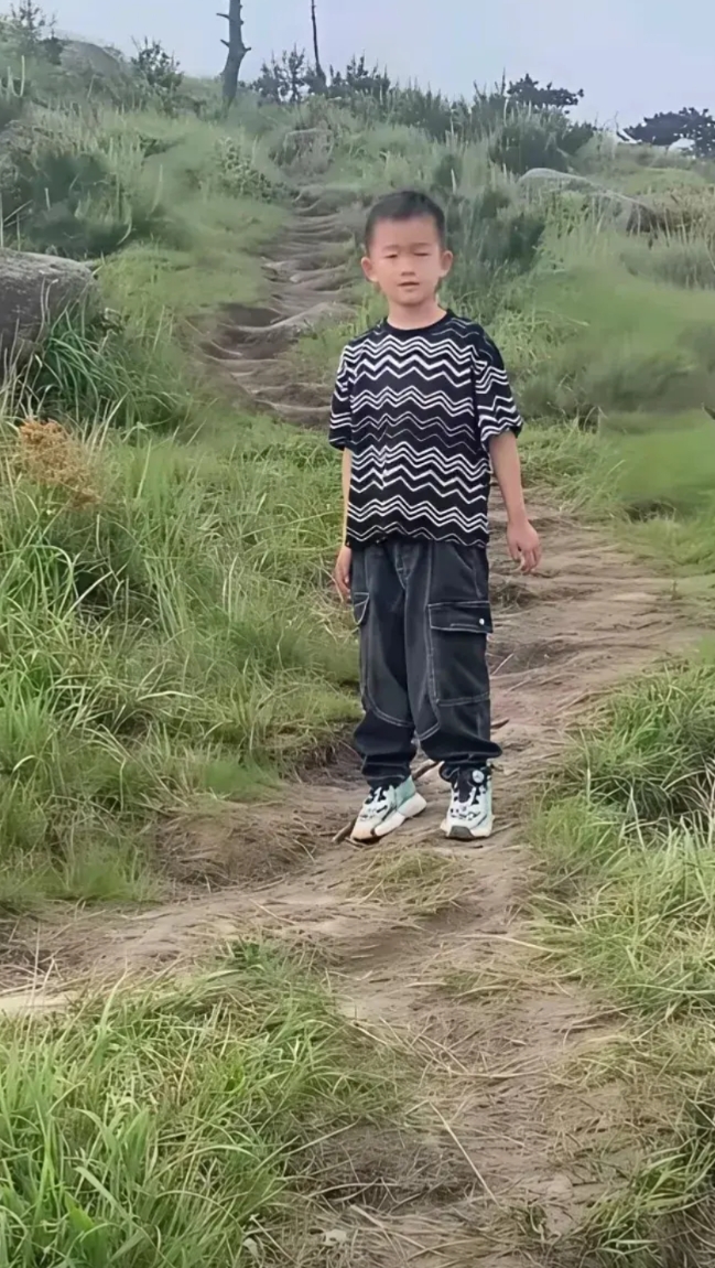 但凡这男孩不是别人抱走，他智商没问题的话，他不可能天黑会往山上走，明明说好下山，