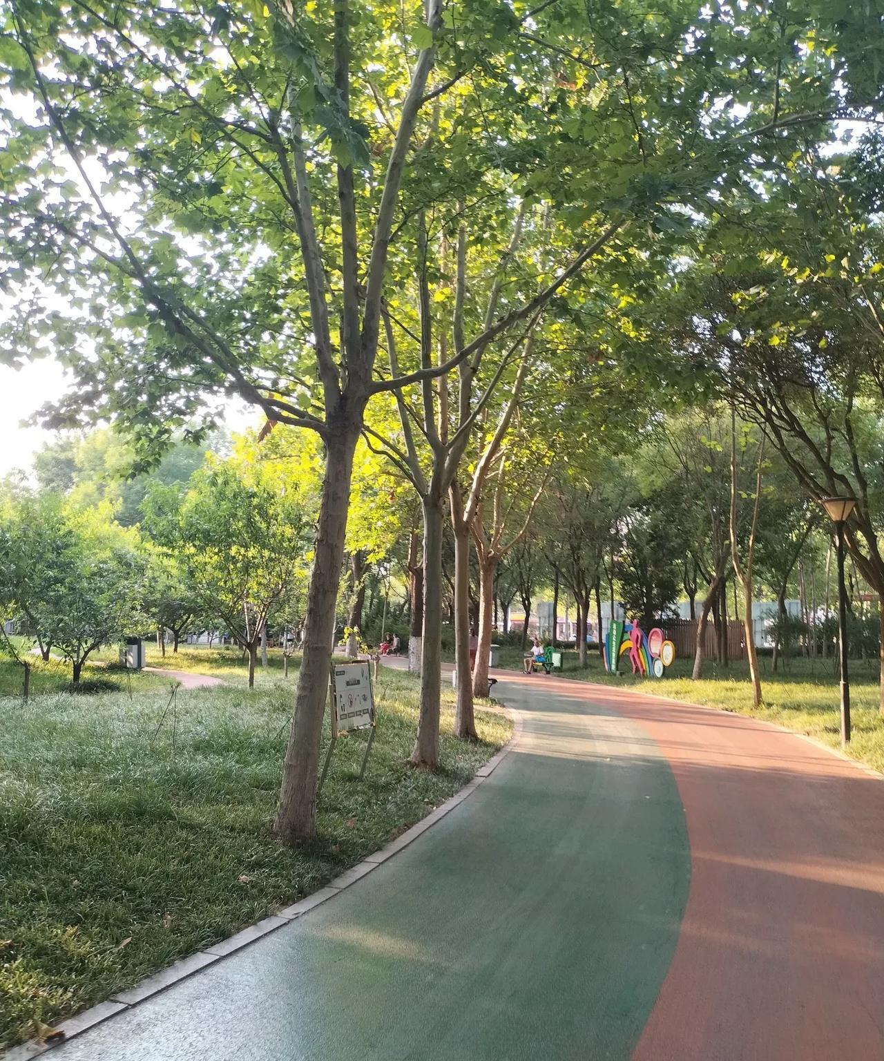 古代人夏天被蚊子骚扰吗？怎样评价它呢？
昨天下午去德州植物园，树木茂盛，遮天蔽日