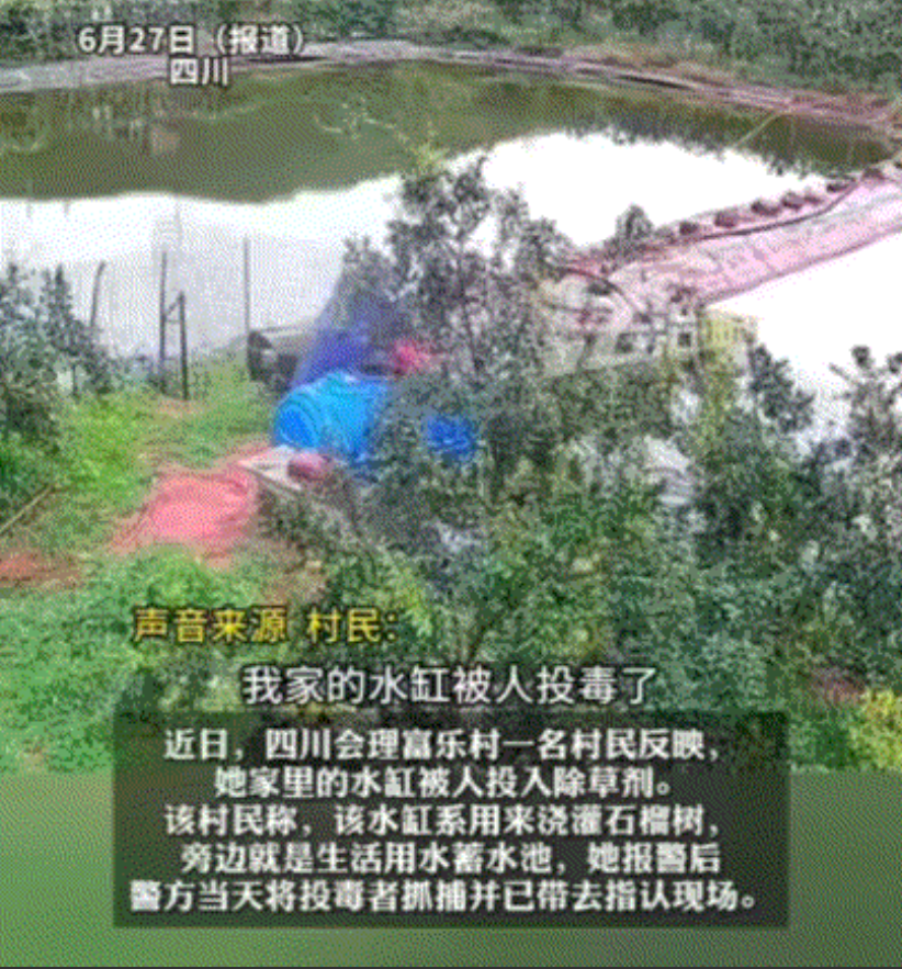 四川，一女子家果园里的监控提示报警，女子本以为有人偷水果，结果查看监控时，把女子