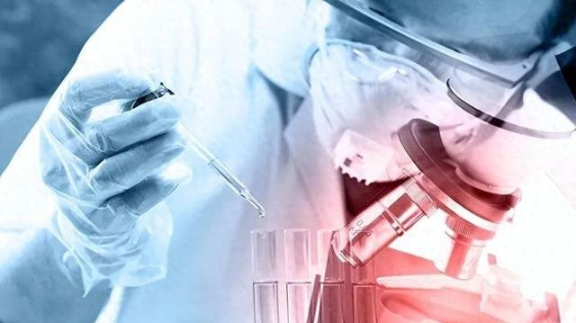 张雪峰认为哪4个专业已经严重饱和？