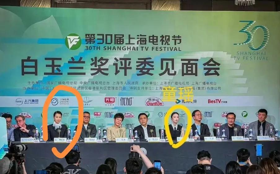 看到这届白玉兰评委合影，陈宝国的脸最难看，估计晚上的最佳女主和男主争议会挺大。每