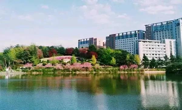 在已实施新高考改革的省份，使用“院校专业组”招生模式。未改革省份（如新疆、西藏、