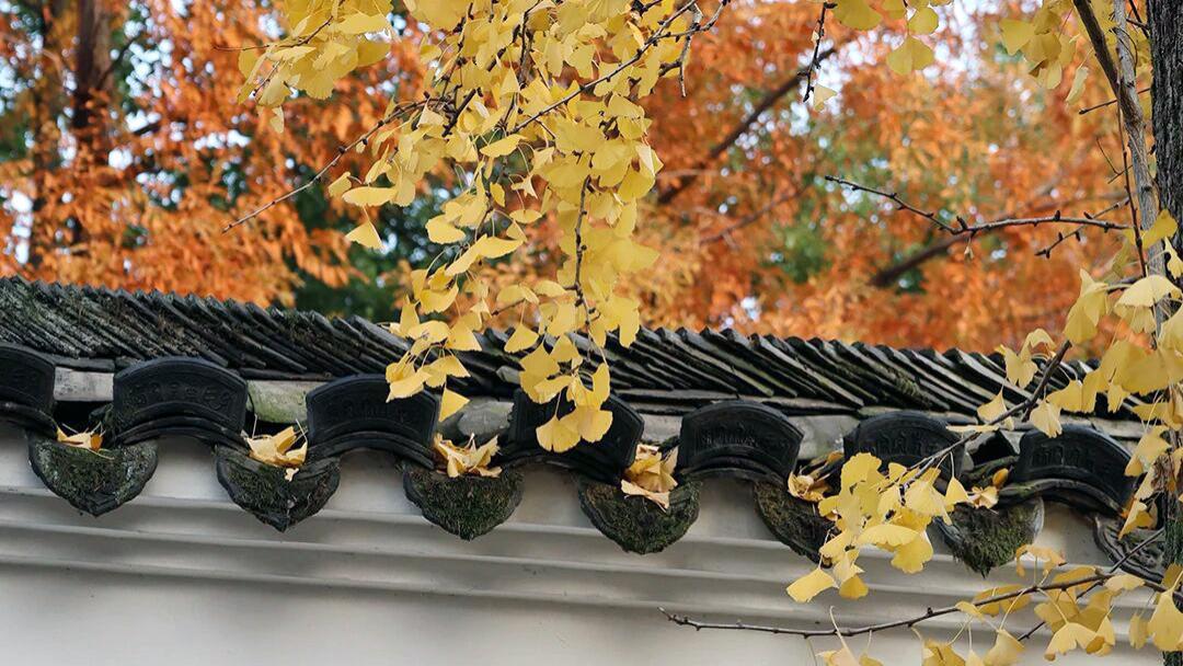 霜降时节，让电热毛巾架温暖你的生活！