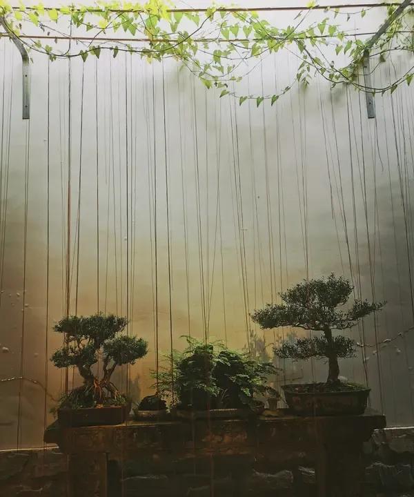 什么是好风水
风水不在别处
而是一个人的
内心和修为
内心光明磊落
善良温和憨厚