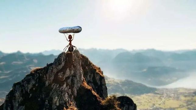 未来几年，最高级的活法：在这几件事上，稳一点