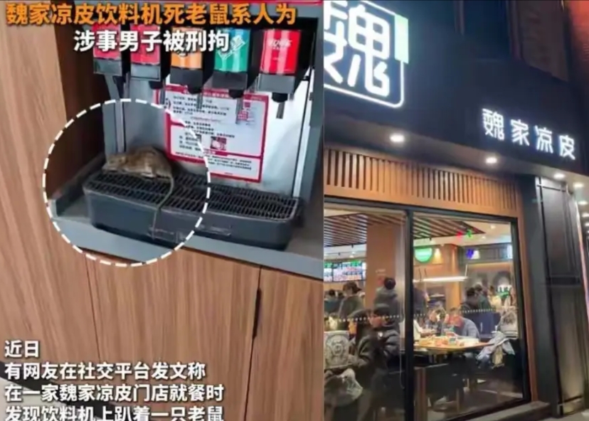 西安魏家凉皮老鼠事件有后续了！

网络视频里一只死老鼠趴在饮料机上，谁看了不恶心