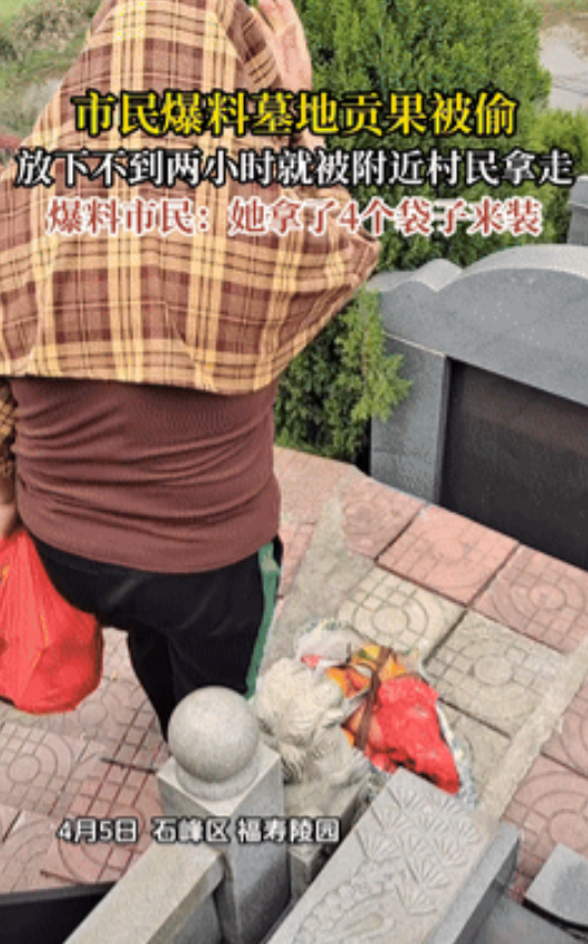 清明奇闻！湖南陵园惊现"供果刺客" 网友神评论：祖先同意了吗？

湖南株洲某陵园