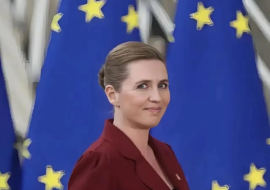 丹麦首相霸气回怼美国副总统：格陵兰岛不是“小金库”！
美国副总统万斯最近对丹麦“