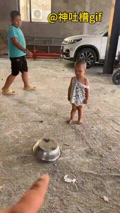 惊喜连连：地上的铁盆在动，打开一看是一只小奶狗，再打开一个铁盆子，又是一只小奶狗