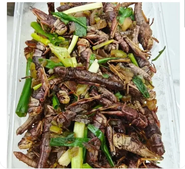 为什么每次出去吃饭，领导都喜欢点这个菜。是不是只有南方才有呢？
